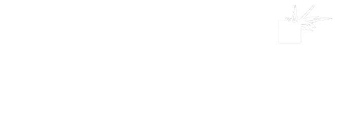 The Grin Studio